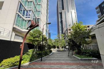 敷地南側の前面道路