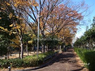 敷地の東側には庄下川が流れており、川沿いには遊歩道が整備されています。