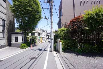 敷地北側の前面道路（西側から）