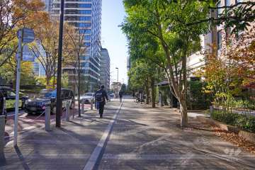 敷地東側の前面道路（北側から）