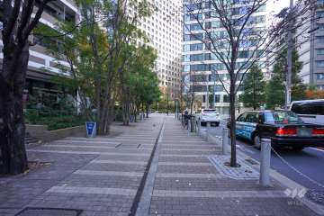 敷地南側の前面道路（西側から）