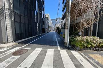 敷地西側の前面道路（南側から）