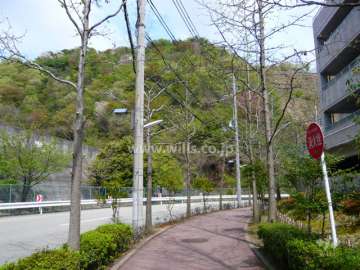 周辺の街並み（山の緑がきれいです。）