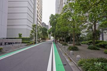 敷地東側の前面道路（北側から）