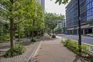 敷地西側の前面道路（北側から）