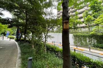 敷地に隣接する歩道