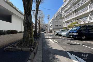 敷地東側の前面道路（北側から）