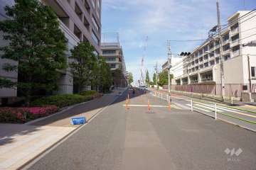 敷地北側の前面道路（東側から）