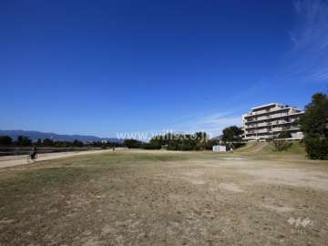 武庫川の河川敷は公園が整備されています。