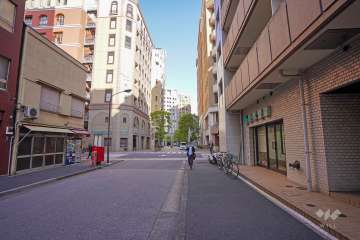 敷地北東側の前面道路（北西側から）