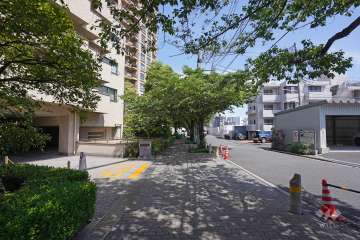 敷地南側の前面道路　