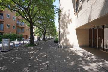 敷地北西側の前面道路　