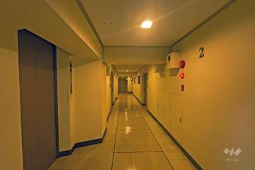 敷地東側の前面道路（北側から）