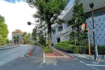 敷地の東側前面道路（北側から）