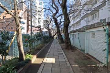 敷地北側の前面道路(側から)