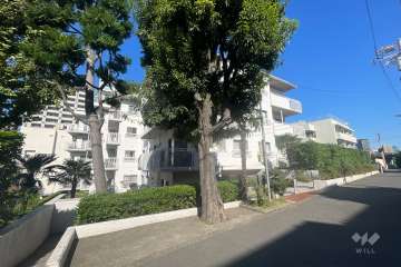 パシフィック魚籃坂の外観（南側から）