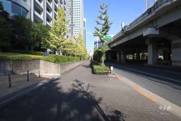 敷地南東側の前面道路　
