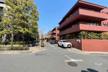 敷地の西側前面道路（南側から）