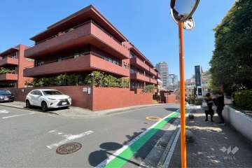 敷地の南側前面道路（西側から）