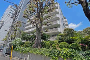 高輪ハウスの外観（南東側から）