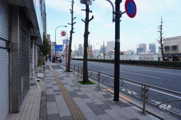 敷地東側の前面道路（南側から）