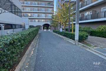 敷地南側の前面道路（東側から）