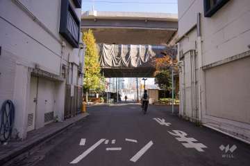 敷地南側の前面道路（西側から）
