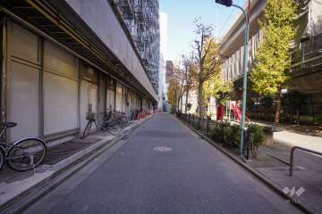 敷地東側の前面道路（南側から）