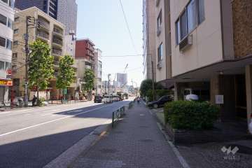 敷地北側の前面道路（西側から）