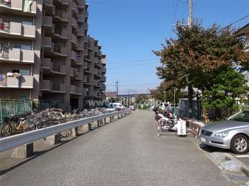 敷地東側の前面道路。
