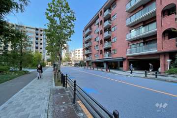 敷地の北側前面道路（東側から）