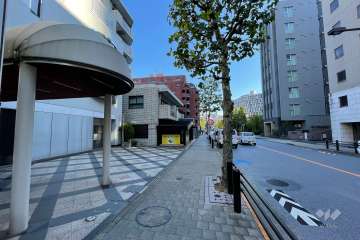 敷地の南側前面道路（西側から）