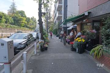 敷地東側の前面道路（北側から）