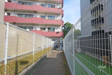 敷地西側の前面道路（西側から）
