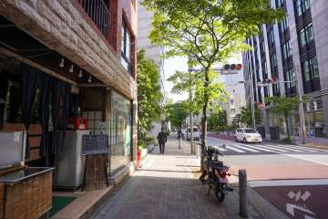 敷地西側の前面道路（北側から）