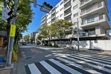 敷地南東側の前面道路（北東側から）