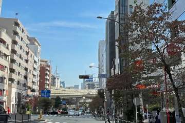 敷地北側の前面道路（西側から）