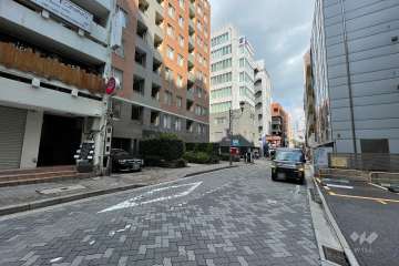 敷地北東側の前面道路（南東側から）