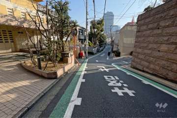 敷地南側の前面道路（西側から）