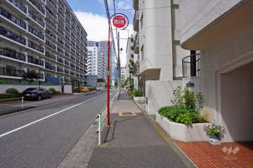 敷地西側の前面道路（南側から）