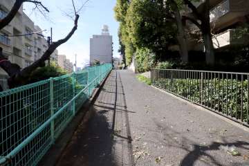 敷地南側の前面道路