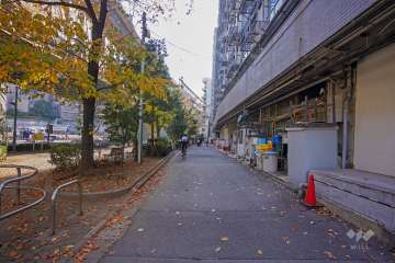 敷地東側の前面道路（北側から）