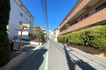 敷地南西側の前面道路（西側から）