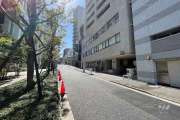 敷地の南東側前面道路（北東側から）