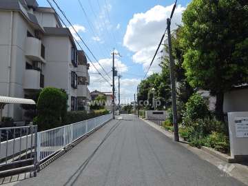 敷地西側の前面道路