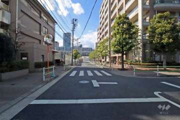 敷地南側の前面道路(東側から)