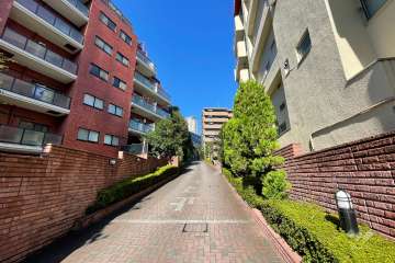 敷地の東側道路（南側から）