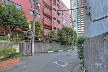 敷地の西側道路（北側から）