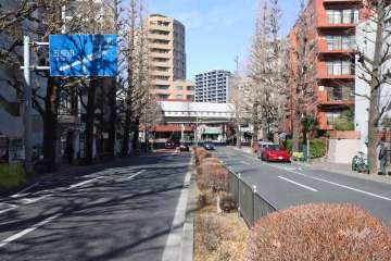 敷地南西側の前面道路(南東側から)