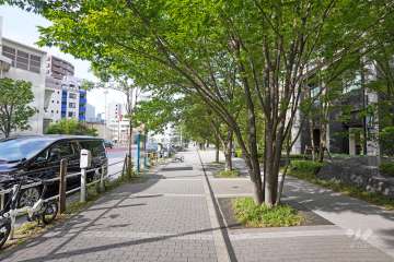 敷地西側の前面道路（南側から）